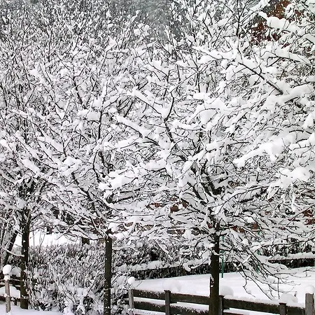 Appartamento Domizil